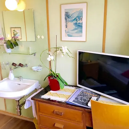 Inn Gletscherblick Hasliberg