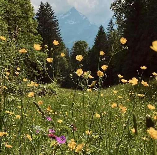 Gletscherblick 3* Hasliberg