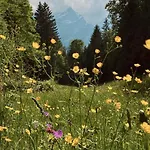 Gletscherblick 3* Hasliberg